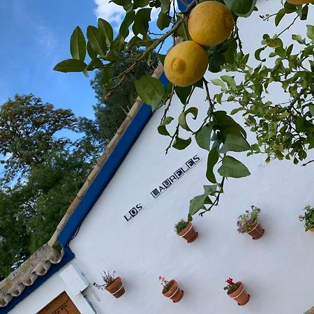 Casa Los Laureles Pilas Exteriör bild
