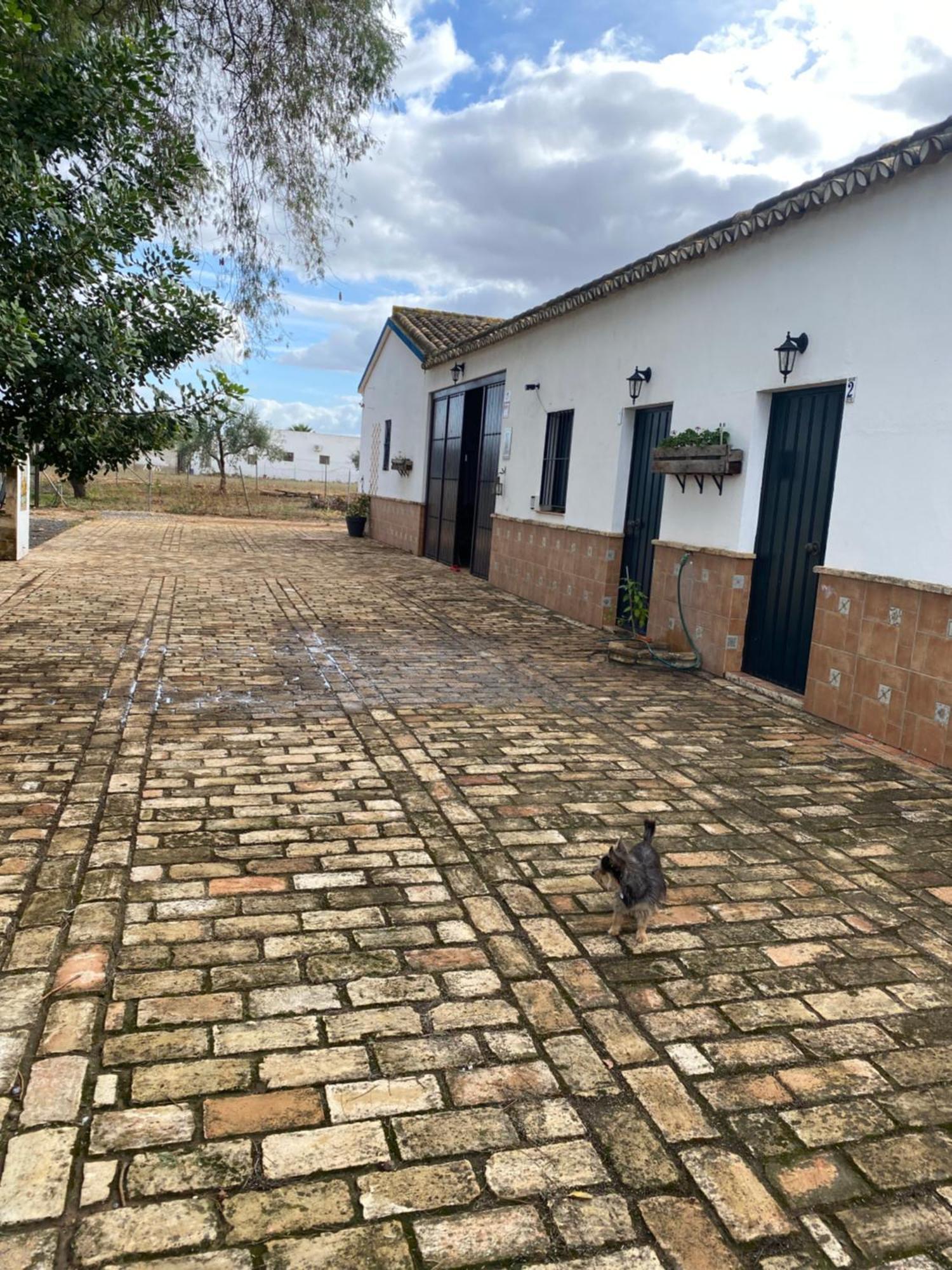 Casa Los Laureles Pilas Exteriör bild