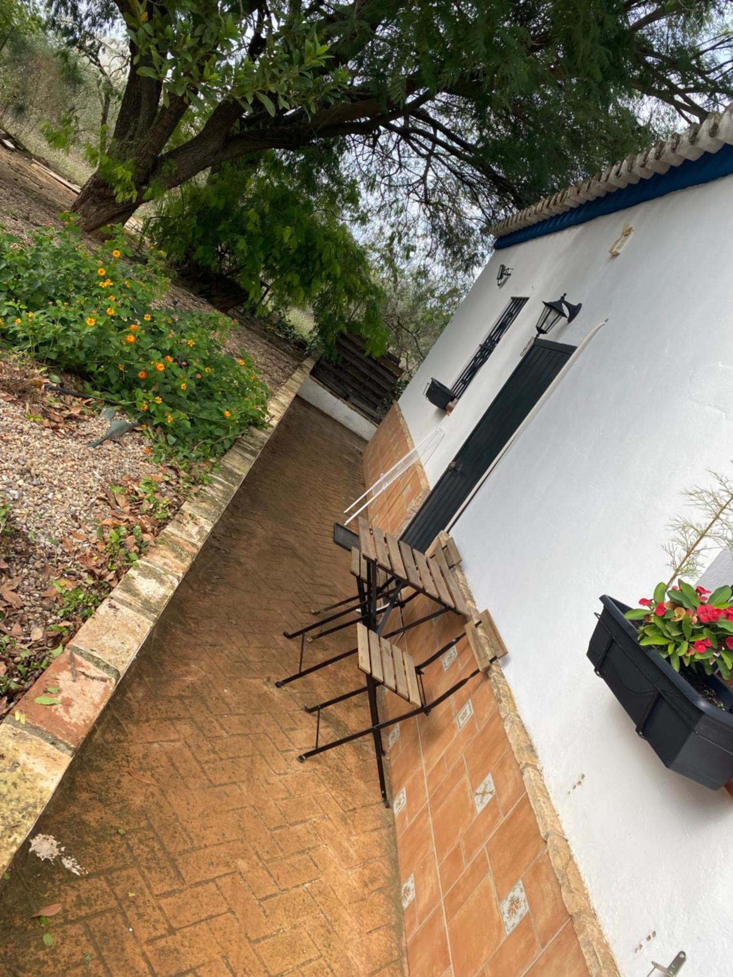 Casa Los Laureles Pilas Exteriör bild