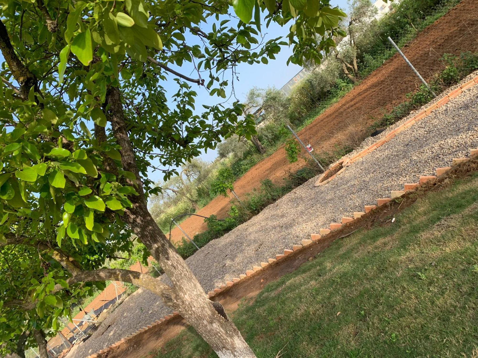 Casa Los Laureles Pilas Exteriör bild
