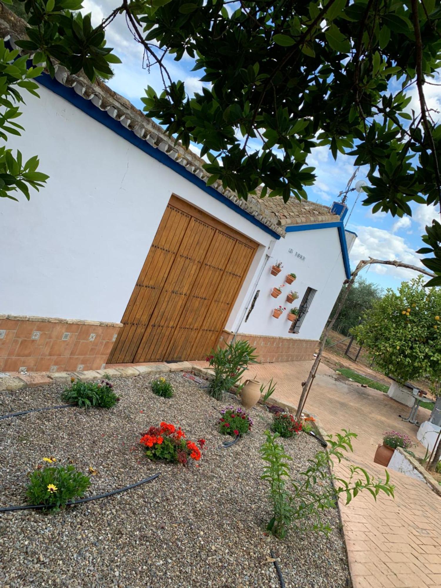 Casa Los Laureles Pilas Exteriör bild