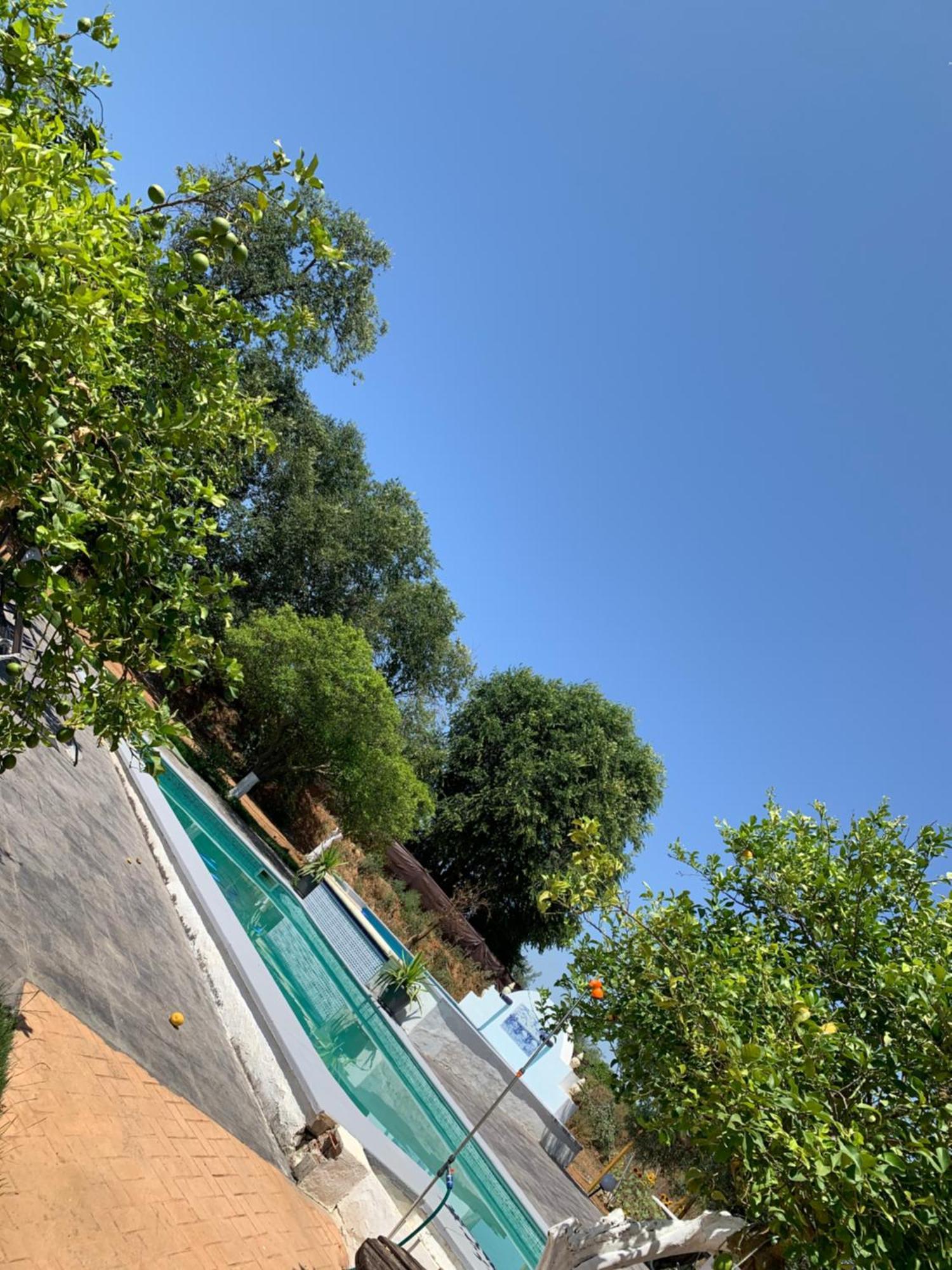 Casa Los Laureles Pilas Exteriör bild