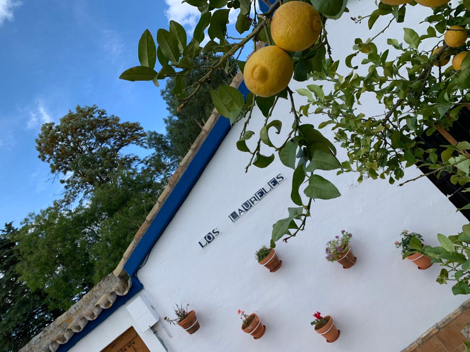 Casa Los Laureles Pilas Exteriör bild